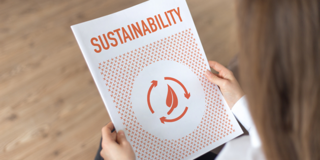 Unlocking Success: Top 4 Factors Affecting Sustainability Consulting Salaries | Leadership |Emeritus 