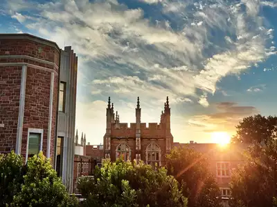 Fast-track your journey to being a responsible leader with IIT Bombay and Washington University’s EMBA program | Emeritus