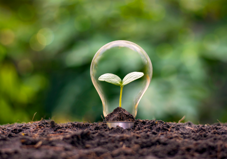 What Is Corporate Sustainability? Learn About its 3 Pillars that Drive Long-Term Growth | Cybersecurity |Emeritus India