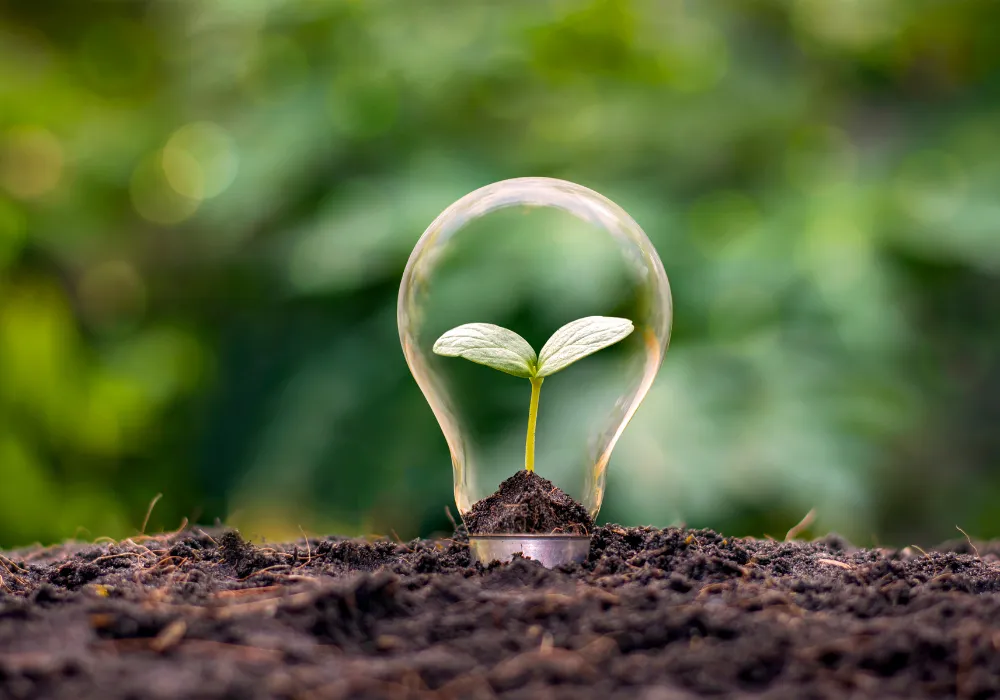 Corporate Sustainability