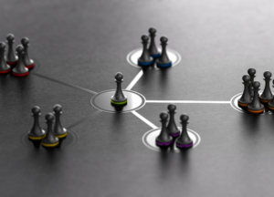company management
