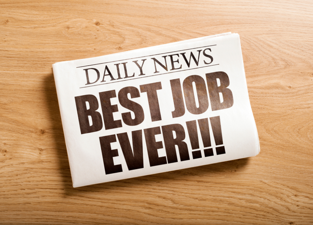career services jobs nyc        <h3 class=