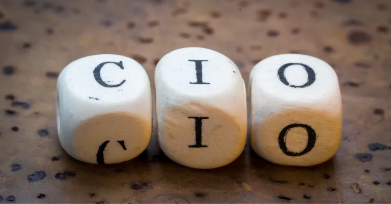 What Does a CIO Do and How is it Different From a CTO | Online Information Technology Course