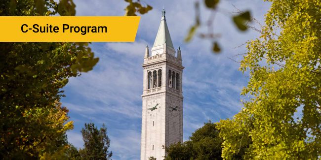 Technology Course by Berkeley Executive Education - 