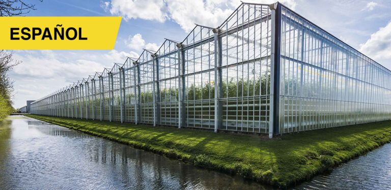 Business Management Course by Uniandes - November 14, 2025