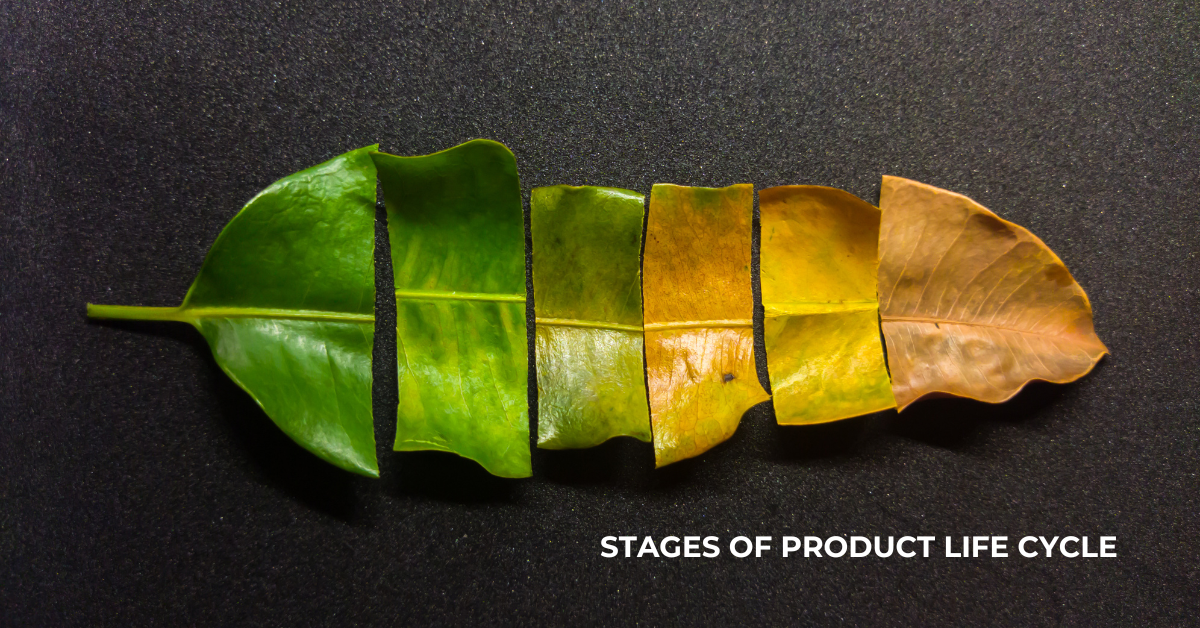 From Introduction to Decline: The 4 Stages of a Product Life Cycle | Product Management | Emeritus 