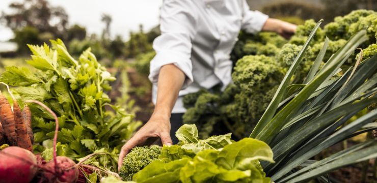 Healthcare Course by Imperial Executive Education - December 4, 2025