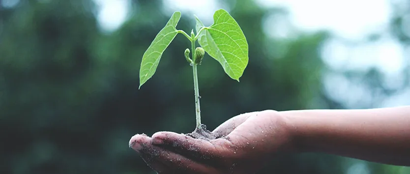 sustainability