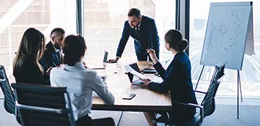 senior business analyst