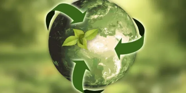 What is a Circular Economy and How Does it Work? | Online Course Course by -