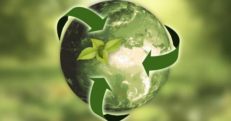 What is a Circular Economy and How Does it Work? | Business Management | Emeritus 
