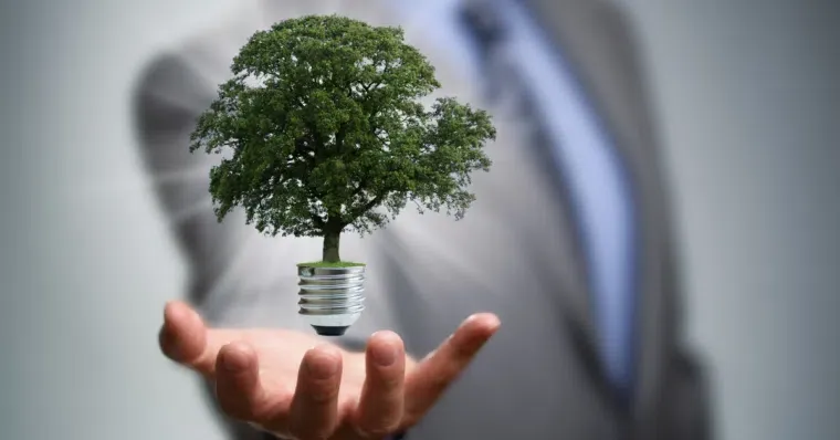 Corporate Sustainability – Meaning, Examples, and Importance | Online Business Management Course