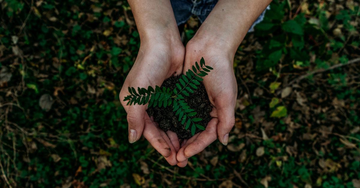 What is circular economy?