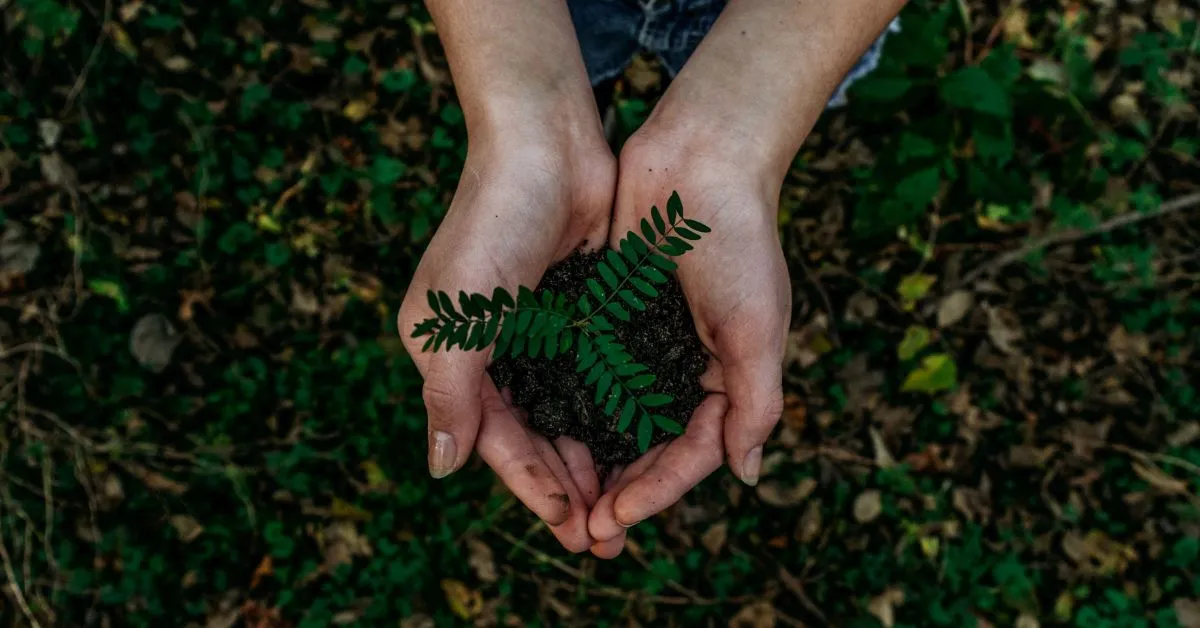 What is circular economy?