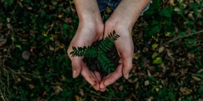 What is a Circular Economy? Is it as Important as Reports Suggest? | Online Course Course by -