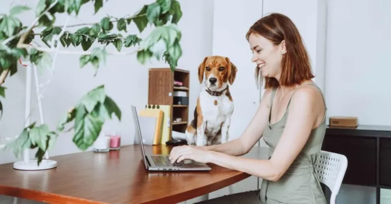 7 Best Work-from-Home Jobs: Remote Is the New Cool! | Learning with Emeritus |Emeritus 