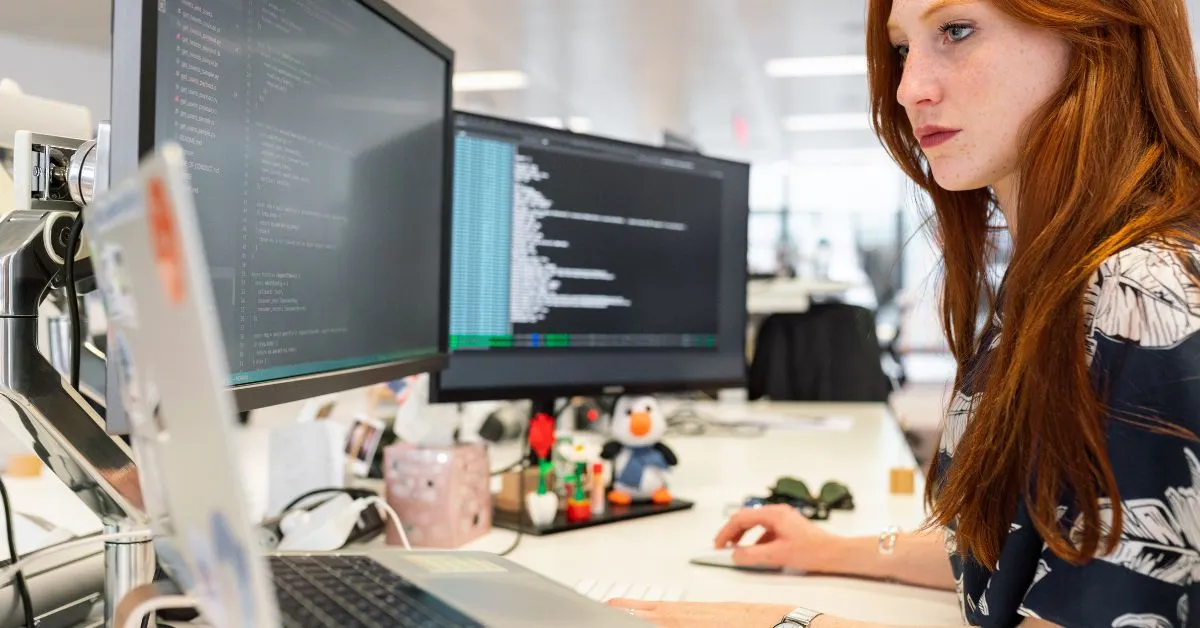 Web designer skills