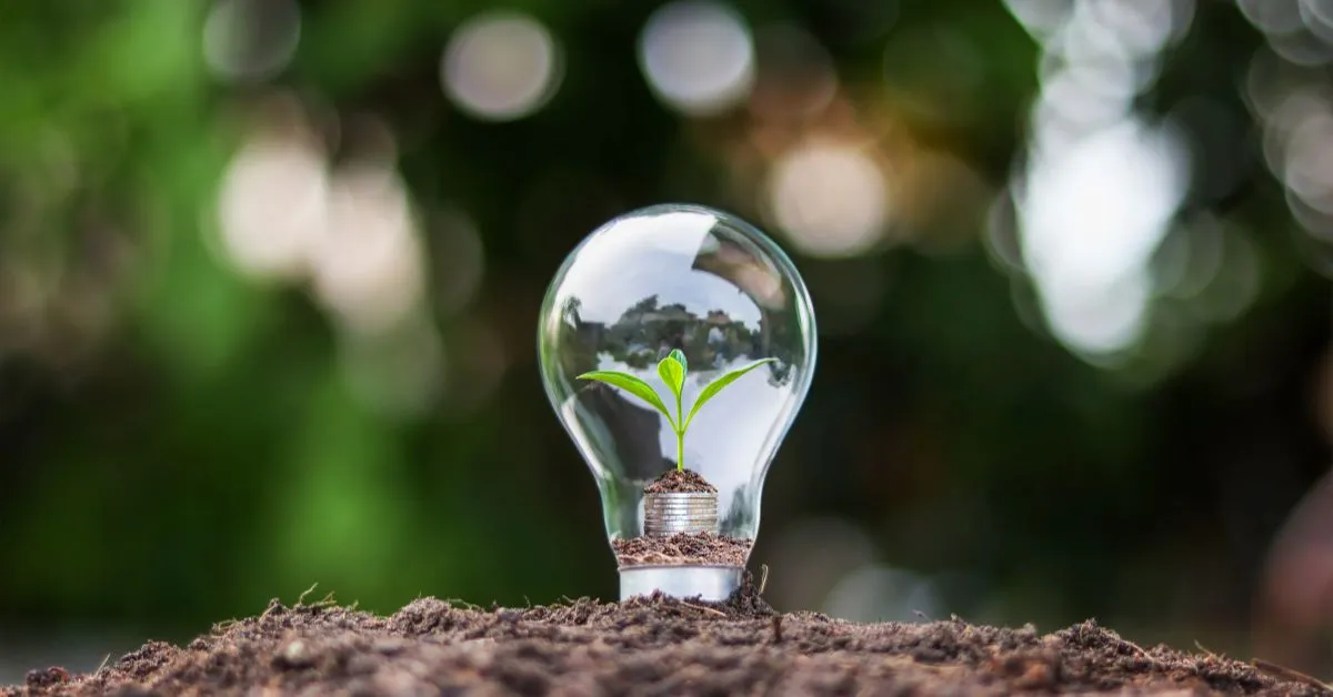 Sustainable Leadership