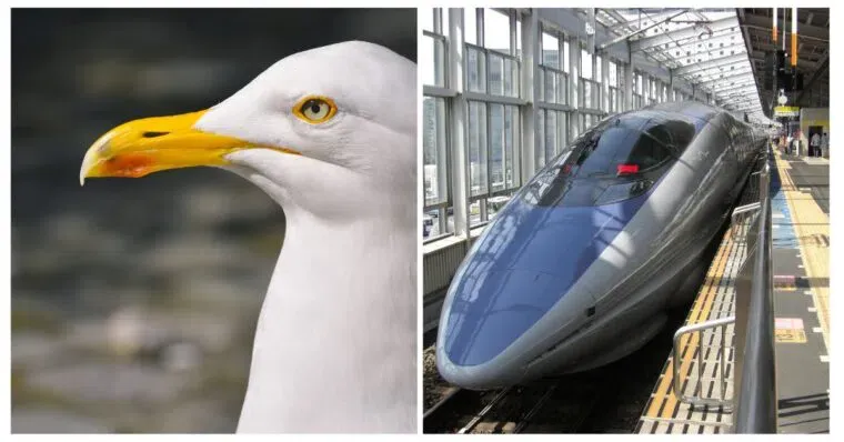 How Biomimicry is Transforming Product Design and Innovation | Online Product Design & Innovation Course