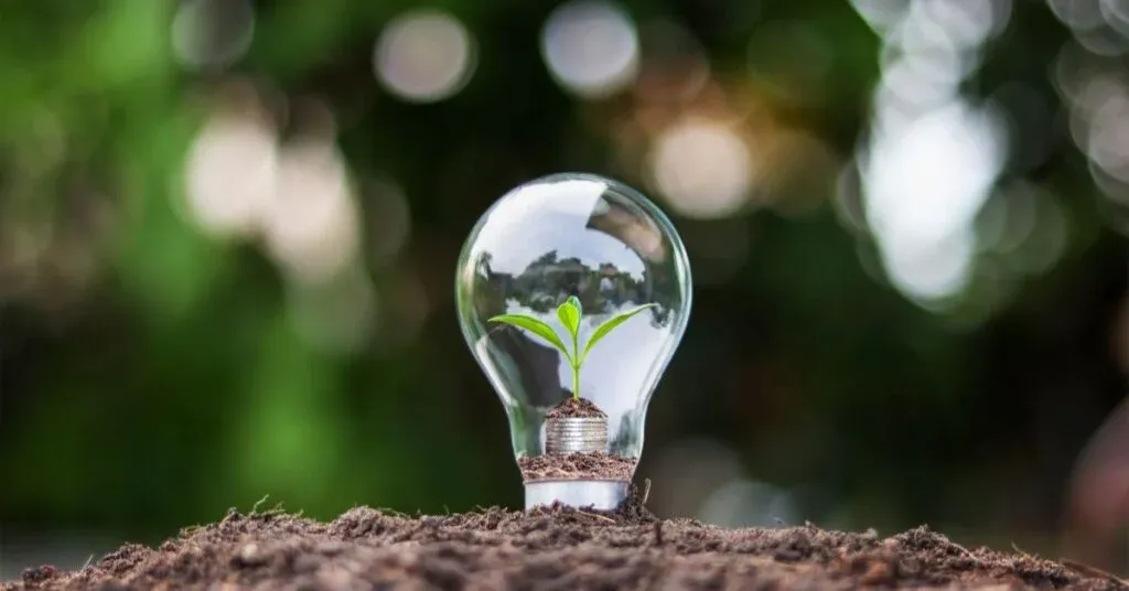 What is Sustainable Leadership and its Role in Shaping a Bright Future? | Leadership | Emeritus