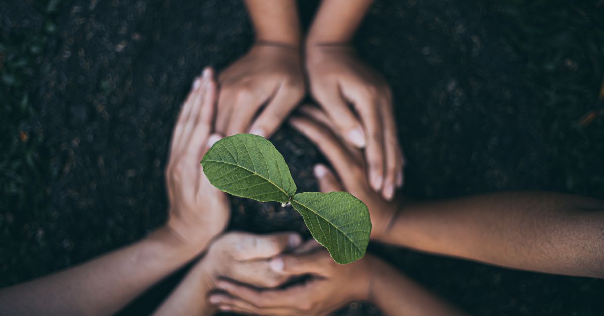 sustainable organizations