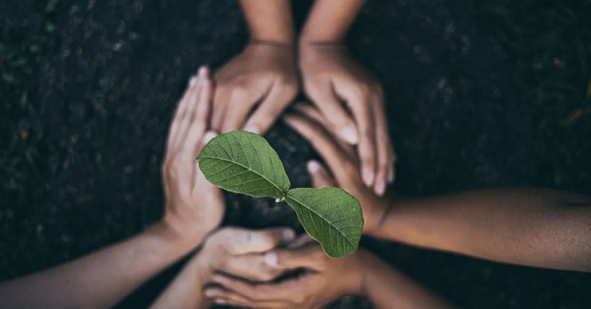 sustainable organizations