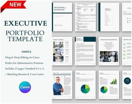 career ladder porfolio