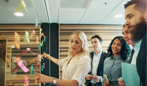 Learn from the world's best