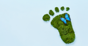 Sustainability Career