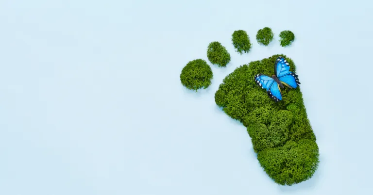 Sustainability Career Path: Top 4 Tips to Grow in Your Career | Cybersecurity |Emeritus 