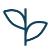 Explore Programmes by Category