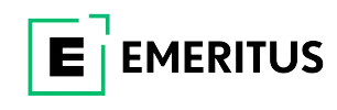 What Changes at the Senior Leadership Level, and How to Get There | Leadership | Emeritus