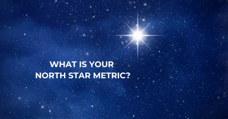What is a North Star Metric? Why is Important for Businesses | Cybersecurity |Emeritus 