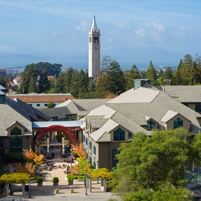 What 20 Hours a Week Inside the Berkeley AI ML Bootcamp Looks Like | AI and ML |Emeritus 