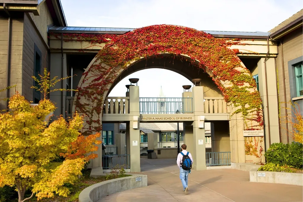 Berkeley COO program