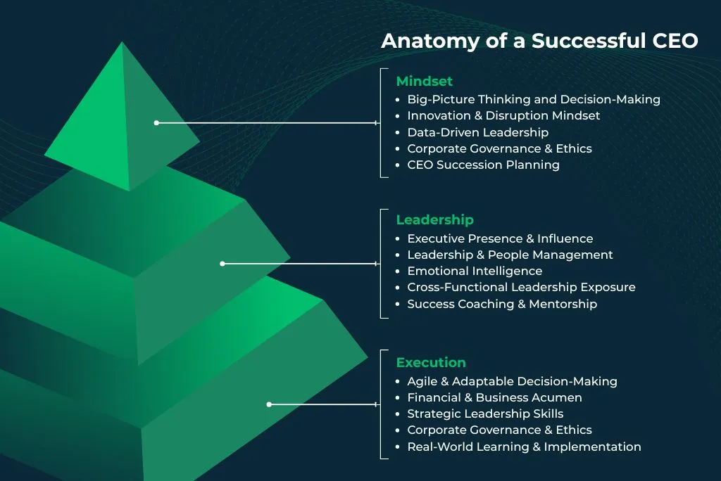 The anatomy of a successful CEO