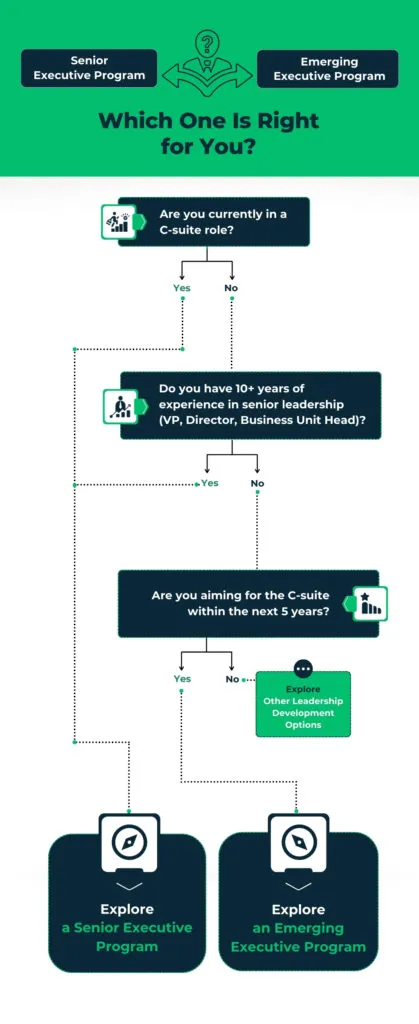 Decision Flowchart for choosing between a senior executive program and an emerging executive program.