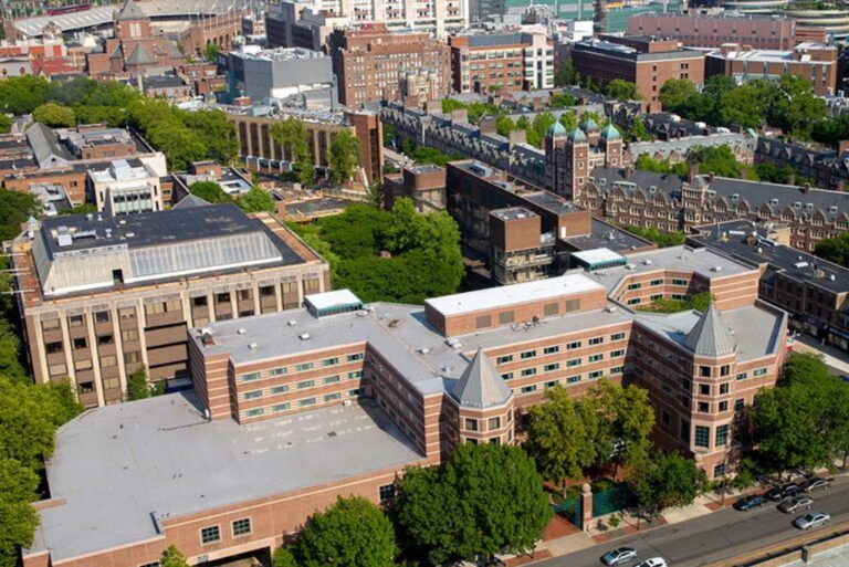 Wharton Global C-Suite Program Reviews: What Top Executives Are Saying About Their Learning Experience | Online Business Management Course