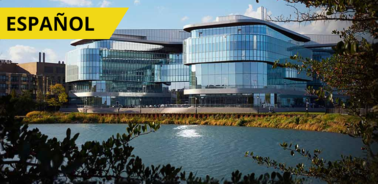 AI and Machine Learning Course by Kellogg Executive Education - May 18, 2026