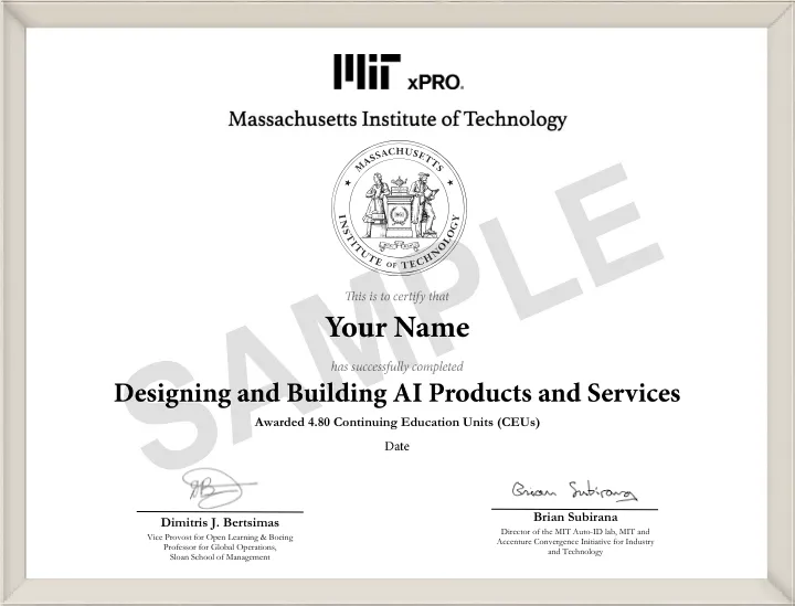 A glimpse of the MIT xPRO AI product design course