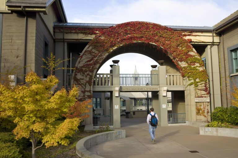 What to Expect from the Berkeley AI Bootcamp: Dive Deep Into the Curriculum | AI and ML |Emeritus 