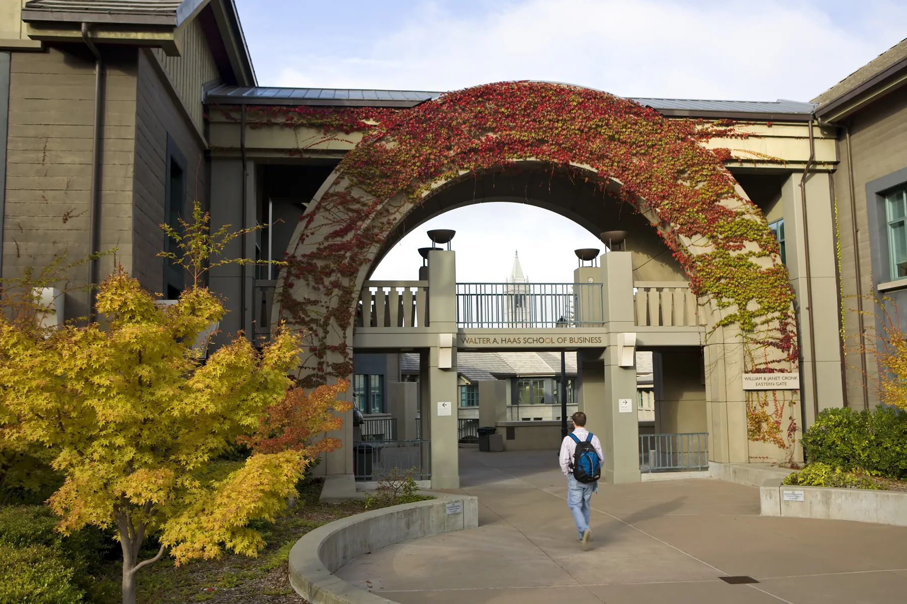 What to Expect from the Berkeley AI Bootcamp: Dive Deep Into the Curriculum | AI and ML | Emeritus 