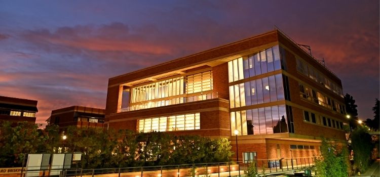 UCLA Anderson Executive Education Launches the Board Director Program in Collaboration with Emeritus | Emeritus