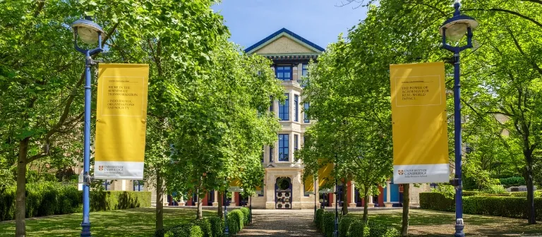 Cambridge Judge Business School Executive Education launches the Chief Revenue Officer Programme in collaboration with Emeritus | Emeritus