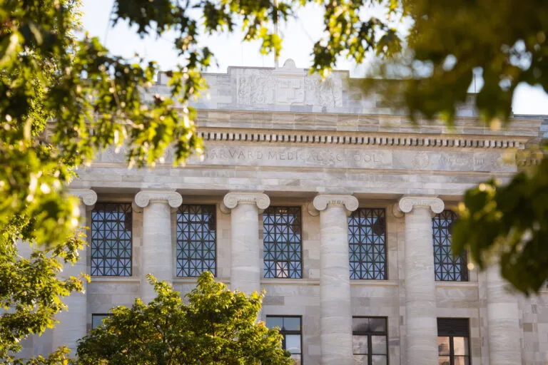 Is the Harvard Medical School AI in Health Care Program Worth It? | Online Healthcare Course