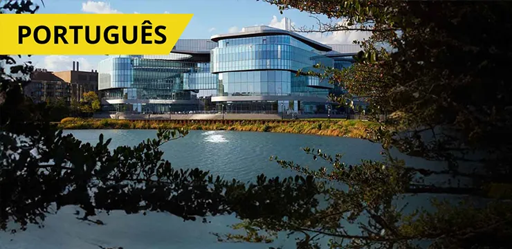 AI and Machine Learning Course by Kellogg Executive Education - June 23, 2026