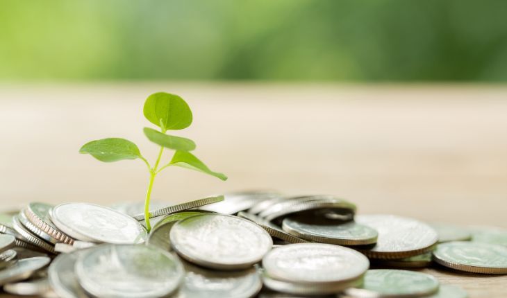 Finanzas para la sustentabilidad, conscientes de los impactos ambientales y sociales | Online Finanzas Course