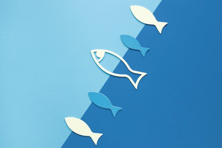 La Estrategia del Océano Azul | Diseño de Productos | Emeritus